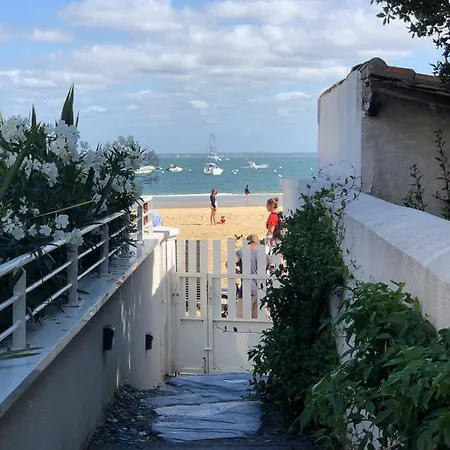 T4 8 Personnes 1ère Ligne Bassin D'arcachon